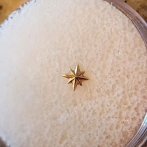 Anatometal 14k starbust threadless end